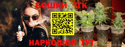 МДПВ Сланцы