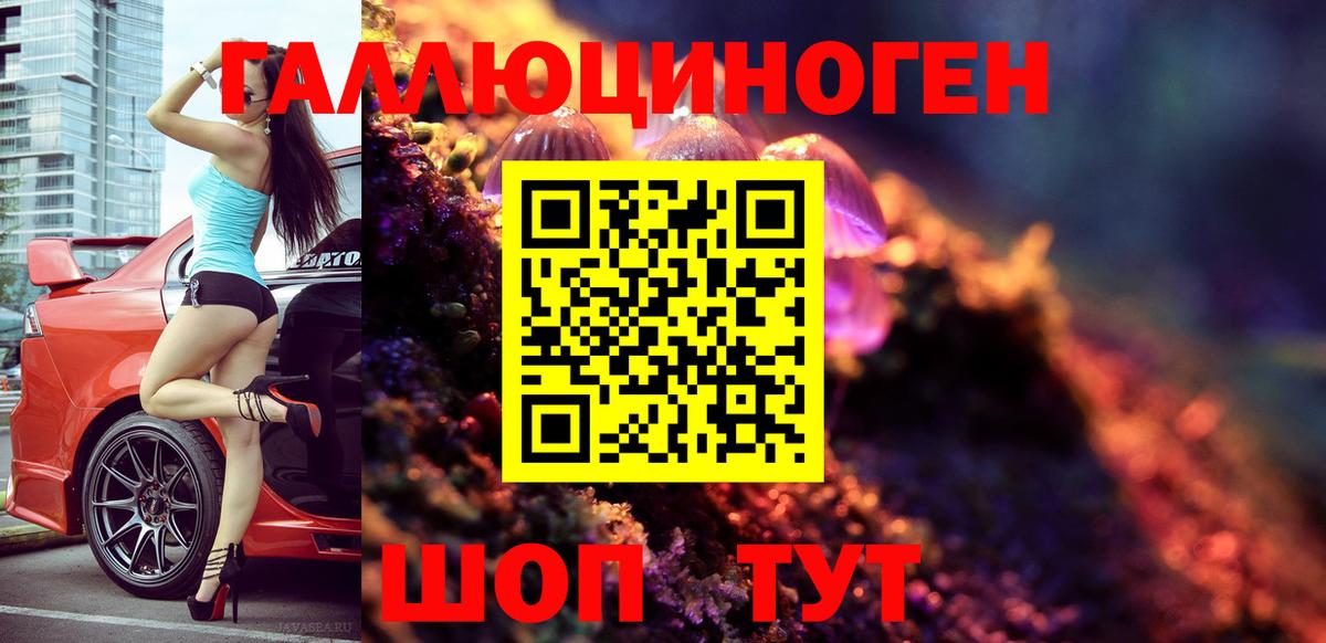 Кореновск  Галлюциногенные грибы Cubensis  Вход с VPN 